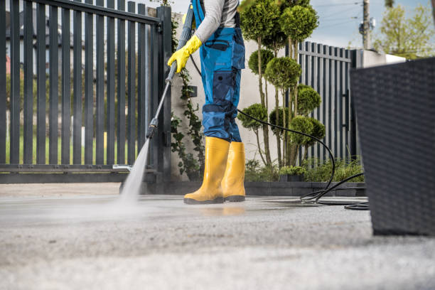 Best Spring Cleaning  in Daisetta, TX