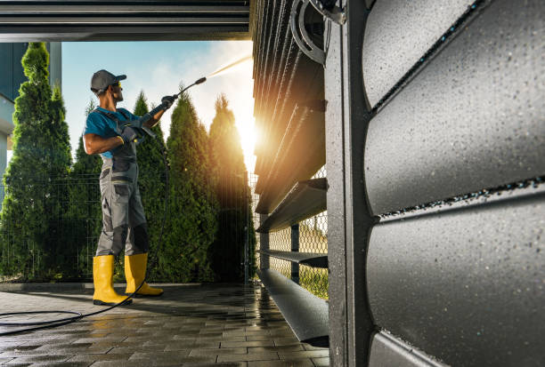 Best Warehouse Cleaning  in Daisetta, TX