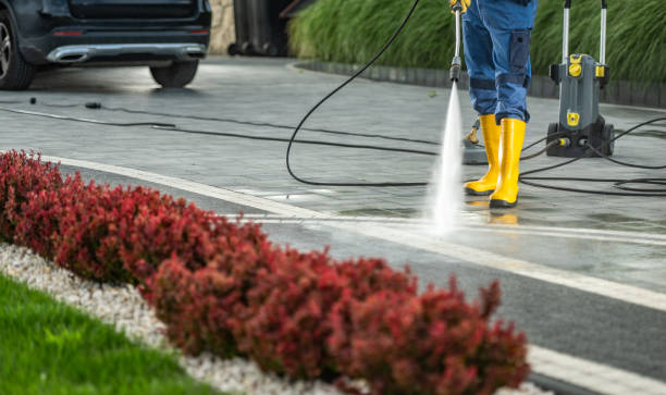 Animal Enclosure Cleaning in Daisetta, TX
