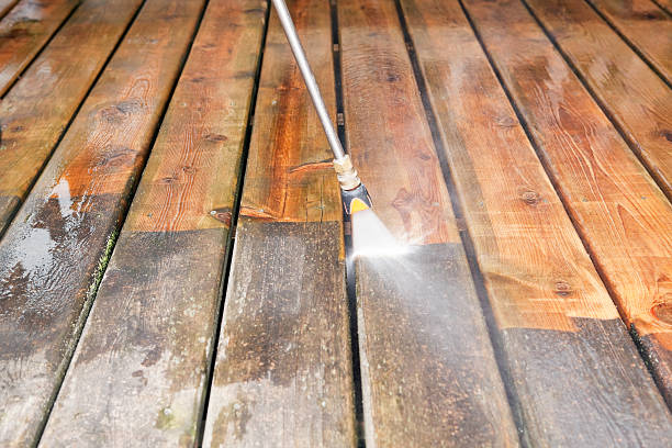 Best Pool Deck Cleaning  in Daisetta, TX