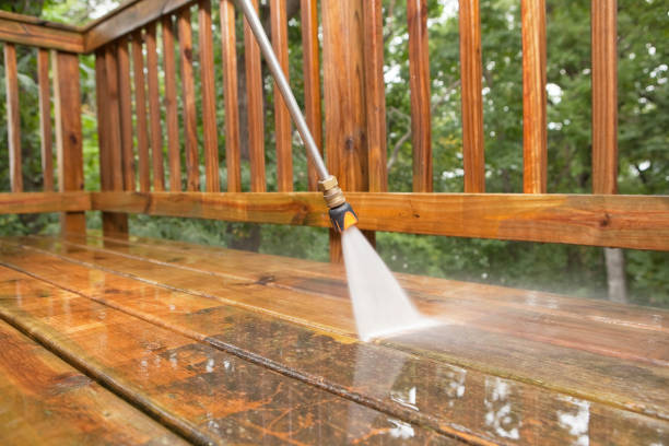 Best Restaurant Pressure Washing  in Daisetta, TX